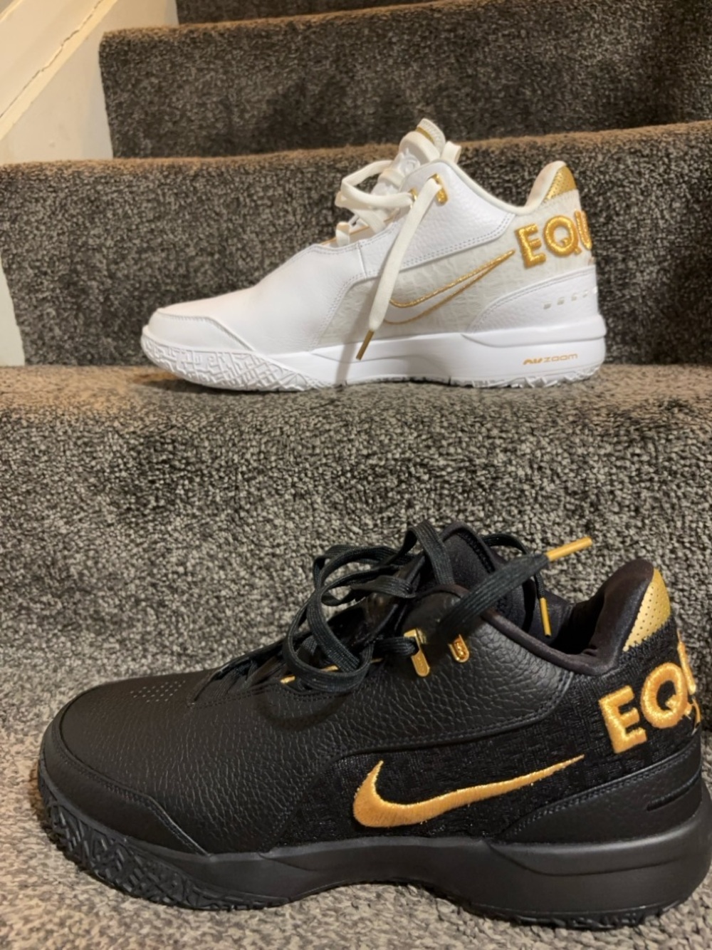 Nike Zoom Lebron NXXT Gen AMPD Equity brand new  💯% authentic